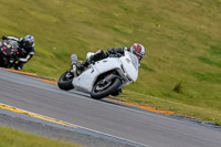 PJ-Motorsport-2019;anglesey-no-limits-trackday;anglesey-photographs;anglesey-trackday-photographs;enduro-digital-images;event-digital-images;eventdigitalimages;no-limits-trackdays;peter-wileman-photography;racing-digital-images;trac-mon;trackday-digital-images;trackday-photos;ty-croes